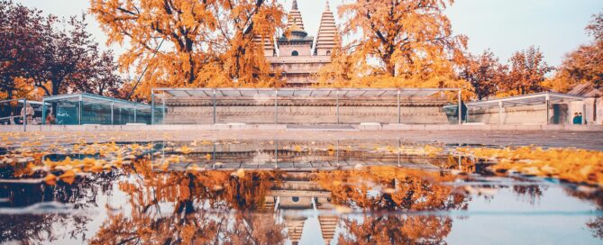 teach in China and Asia