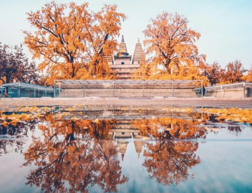 Teaching in Asia – Fact vs Fiction